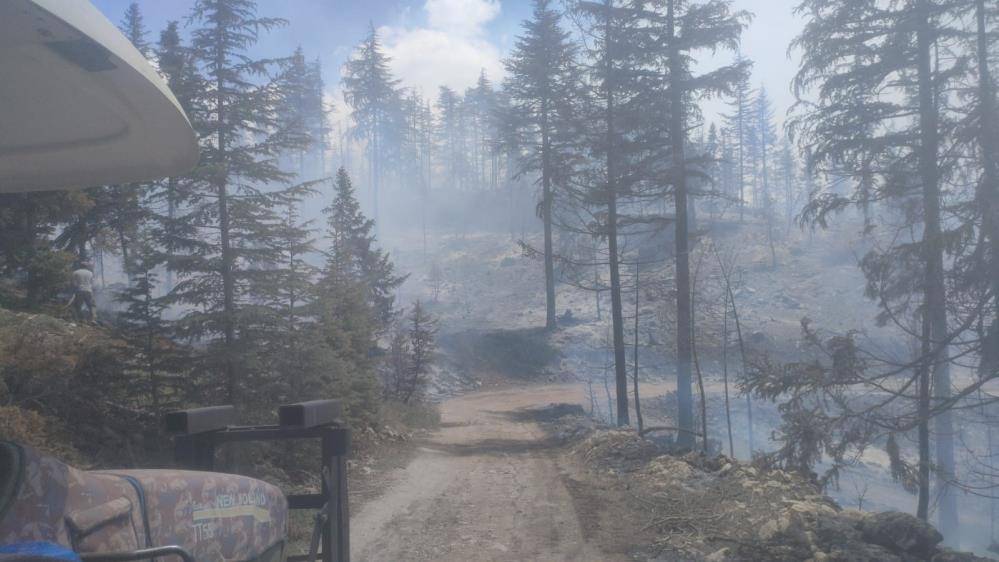 Konya’nın komşu ilinde orman yangını 3